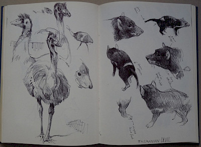 sketches animals