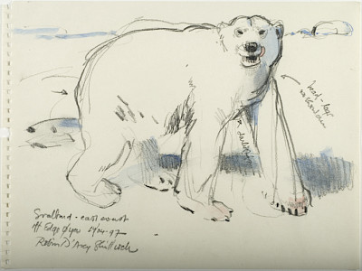 polar bear, small